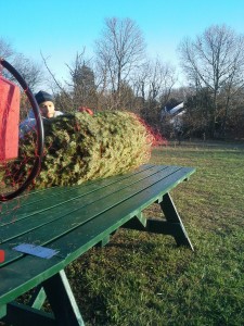 White Dog Farms Netting a tree