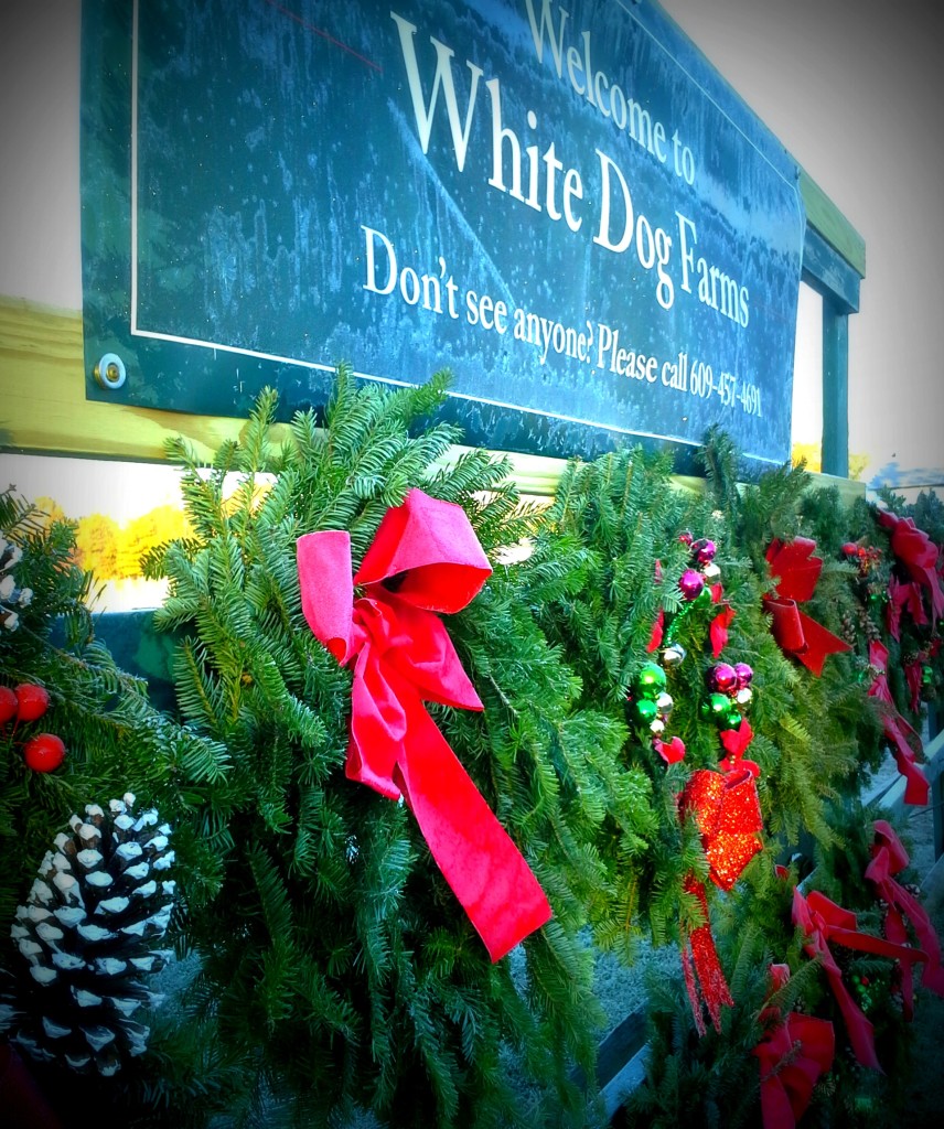 White Dog Farms Frosty Wreaths and Sign 11-24-17