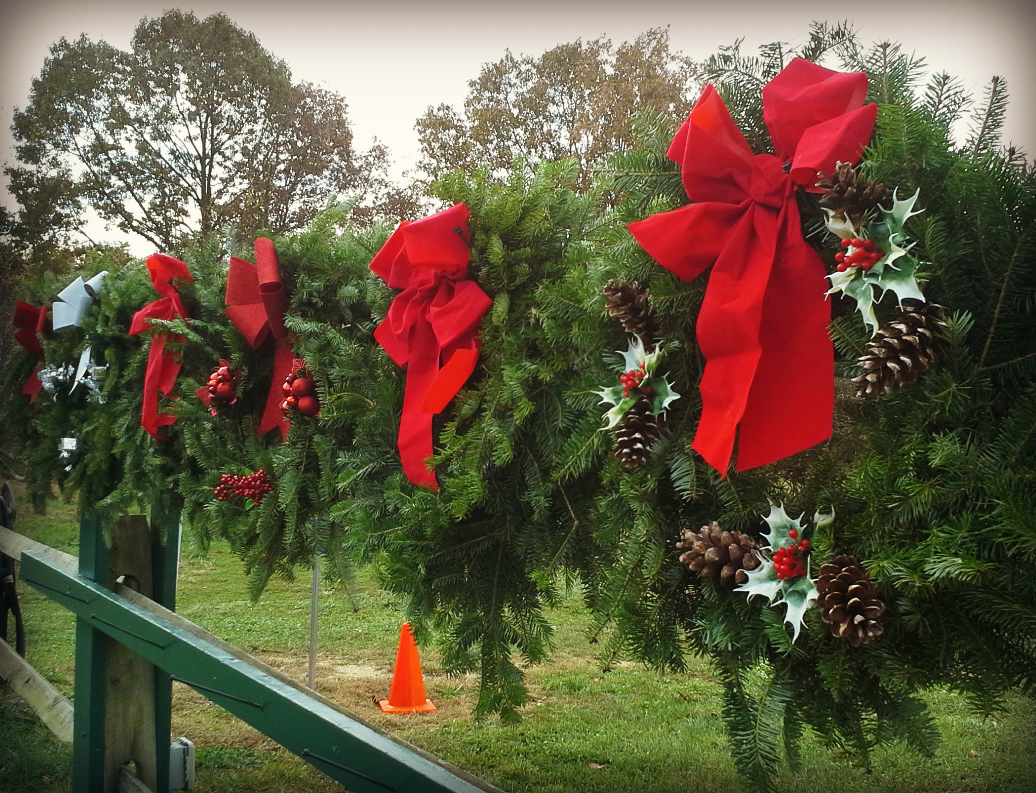 Wreaths and Grave Blankets Are Ready | White Dog Farms